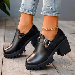 Dress Shoes Platform Heels Women 2024 Spring Round Toe Women's Pumps Comfortable Chunky Heel Commuting Office Ladies Zapatos Mujer