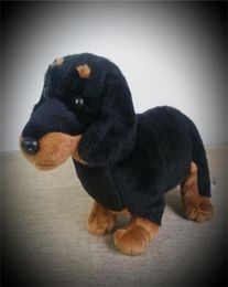 China Zoo Toys Dachshund Dog Stuffed Plush Soft Plushie Toy 12quot Black Brown New 2012141746604