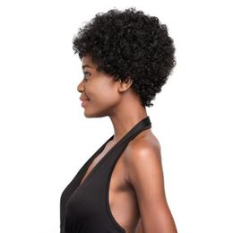 Wigs hot selling brazilian Hair African Ameri short kinky curly wig Simulation Human Hair curly wig for women