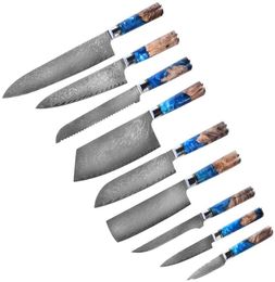 Kitchen Chef Knife Sets Damascus 67 Layers VG10 JapaneseSharp Chef Santoku Utility Butcher Knife Fillet Cleaver Knife Resin Wood H1174044