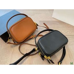 Brown Black Handbags Daily Luxurys Clutch Tote Handbag Designer Luxury Genuine Leather Camera Bag Solid Colour Handbag P2391