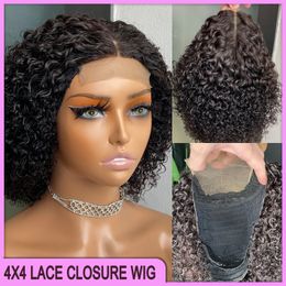 Brazilian Peruvian Indian 8 Inch Natural Black Color 100% Raw Virgin Remy Human Hair Kinky Curly 4x4 Brown Lace Closure Wig