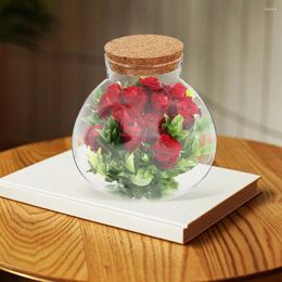 Vases 2 Pcs Micro Landscape Ecological Bottle DIY Plant Terrarium Display Shelf Candy Jar Home Empty Cork Glass Moss Mini Vase