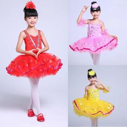 Stage Wear Children Ballet Tutu Leotard For Dance Bodysuit Dancewear Swan Lake Costume Girl Performance Dress