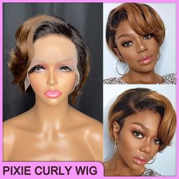 Malaysian Peruvian Indian Brazilian 1b Brown 100% Raw Virgin Remy Human Hair Pixie Curly Cut T Part Short Wig