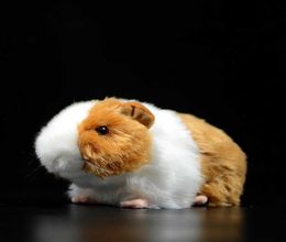 17cm Simulation Cute Yellow Guinea Pig Shorthaired Soft Plush Toy Domesticated Guinea Pig Doll Cavia Porcellus Animal Kids Gift Q7742399