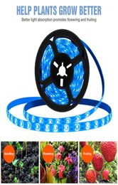 Plant Light Full Spectrum Grow Lights Waterproof Growing LED Strip USB Indoor Phyto Lamp Flower Seedling Greenhouse Lighting4446690