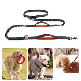 Dog Collars Leashes Reflect Light Flex Running Waist Belt Mtifunction Walk The Chain Pet Supplies Will And Sandy Drop Delivery Home Dh3Bt