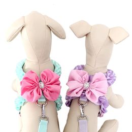 Pet Dog Harness Leash 2 Sets Sweet Bow Teddy Collar Cat Walking Rope Chain For Small Medium Suit Set 240103