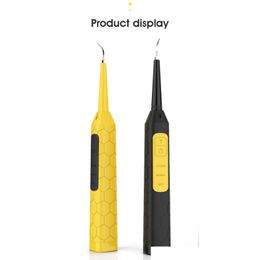 Other Oral Hygiene Factory Wholesale Electric Teeth Calcus Dental Tartar Stains Cleaner Tools Waterproof Tooth Beauty Usb Charger Eu Dhqfq