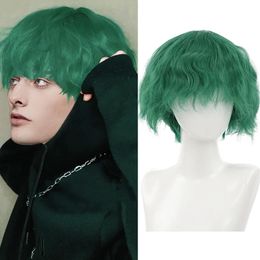 Wigs AILIADE Synthetic Short Curly Wigs for Men Boys Dark Green Hair Machine Made Heat Resistant Daily Party Anime Cosplay Wig