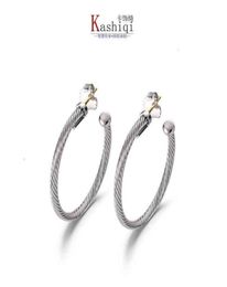 Earring Dy Twisted Thread Earrings Women Fashion Versatile White Gold and Sier Plated Needle Twist Popular Accessories Hot Selling3296797