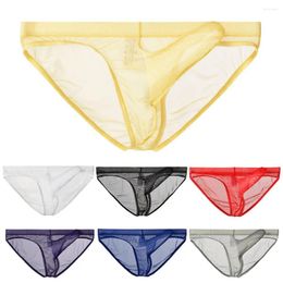 Underpants Sexy Men's ?Transparent Elephant Nose Briefs Mesh Gauze Bulge Pouch Underwear Male Breathable Panties Cueca Hombre Underpant