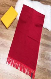 woman cashmere scarf Men and Women winter scarves ladies Shawls Letter pattern wool Pashminas 70cm X 180cm4999418