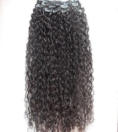 Mongolian Human Virgin Jerry Curly Weft Clip In Hair Extensions Unprocessed Natural Black Colour Can Be Dyed1002979