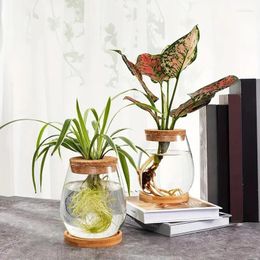 Vases Hydroponic Flower Pot Home Vase Decor Transparent Imitation Glass Soilless Plant Pots Green Plants For Decoration