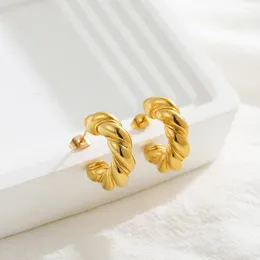 Hoop Earrings Vintage Distortion Interweave Gold Colour Glossy Chunky Stainless Steel Twist Croissant Huggie Waterproof Jewellery