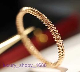 Top Quality Luxurys Designers bracelet Car tires's Women Charm New Bullet Bracelet Rose Gold Willow Nail Versatile Fashion Luxury Instagram With Original Box