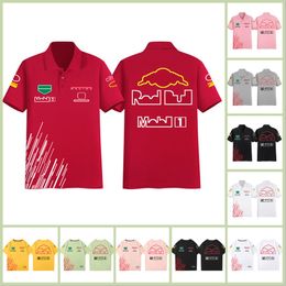 2024 New F1 racing suit T-shirt Team Summer Short-sleeved T-shirt with men's custom plus size