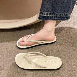 Slippers 2024 Shoes For Women Pinch Toe Women's Summer Solid Outdoor Beach Casual Flat Large Size Flip Flops Zapatos