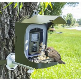 Bird Watching Camera BC303 Surveillance For Small Animals With Motion Sensor Feeder Outdoor 240104