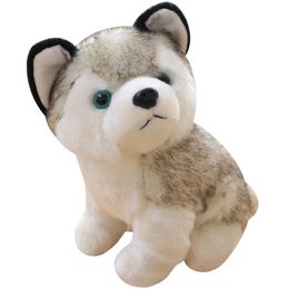 Cute Husky Dog Plush Toy Stuffed Animal Toy for Kids