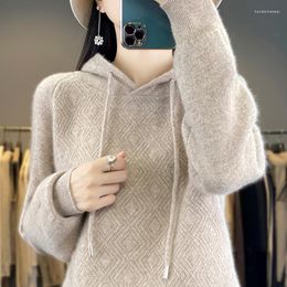 Women's Sweaters Autumn Winter Cashmere Hooded Women Thickened Hoodie Loose Knitted Thick Sweater