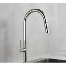 Kitchen Faucets Single Cold Faucet Sink Water Sus304 Stainless Steel Pull Out Tap