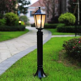 Europe Garden Lawn Lamp Courtyard Road Grass Light Outdoor Lighting 70cm Tall