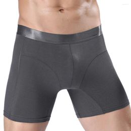 Underpants Men Cotton Elastic Breath Comfort Boxer Briefs Sport Shorts Underwear Panties Solid Seamless Medium Rise Male