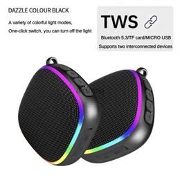 Portable Speakers Outdoor waterproof cycling speaker TWS wireless stereo portable magnetic speakers mini caixa de som Bluetooth 5.3 card subwoofer YQ240106