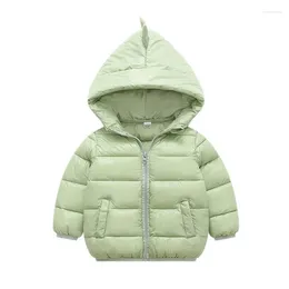 Down Coat Winter Hooded Plush Warm Cotton Jacket 1-7 Year Old Boys And Girls Cartoon Casual Beibei Fashion Children's Clothing