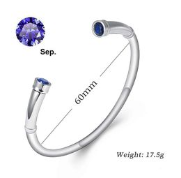 Cuff Cremation Bracelet for Ashes Stainless Steel Crystal Pet Memorial Urn Jewelry 240105