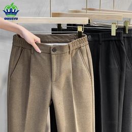 Autumn Winter Suit Pants Men Thick Business Elastic Waist Classic Grey Brown Woolen Straight Korean Formal Trousers Male 2738 240105