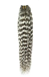 cheap human hair grade 8a brazilian kinky curly weaves 100gpc silver Grey hair extensionsdouble weft quality no shedding tangl1429715