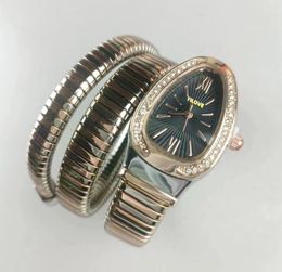 New Brand Wrist Watches Women Ladies Snake Shape Diamond Style Steel Metal Band Quartz Clock Fashion Designer Suitable Durable Personality Suit Gift