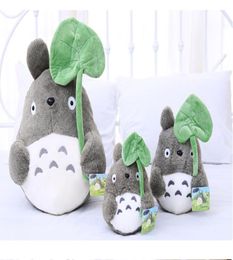 Dragon Cat Boy Plush Toys Pillows Dolls Wedding Gifts Children039s Birthday Gifts Whole4138842