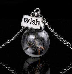 Glass bottle necklace Natural dandelion seed in glass long necklace Make A Wish Glass Bead Orb silver plated Necklace Jewellery G1259605001