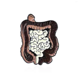 Brooches Anatomy Intestines Brooch Pins Enamel Lapel Backpack Badges Jewellery Accessories For Doctors Student