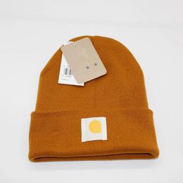 2023 Men Winter Beanie Brand Warm Beanies European American Double-Layer Folded Knit Women Woolen Hat v13