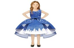 Special Occasions kids dress ball gown girls dress graduation for wedding children clothing christmas2722785