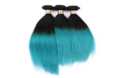 Ombre Brazilian Virgin Hair Ombre 1B Teal Straight Grass Green Ombre Human Hair Bundles 3Pc Lot Peruvian Human Hair Bundles4216108