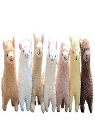In Stock Kawaii Alpaca Plush Toys 23cm Arpakasso Llama Stuffed Animal Dolls Japanese Plush Toy Children Kids Birthday Christmas Gi3591161
