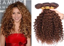 Brown Human Hair Weaves 4 Middle Brown Deep Wave Curly Hair Bundles 3PcsLot Malaysian Virgin Hair Water Wave Bundles6803872