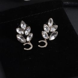 Top Designer Earrings for Woman Luxury Charm Earrings 925 Silver Earrings Fashion Jewelry