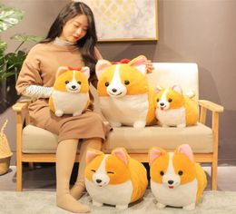 384560cm Lovely Corgi Dog Plush Toy Stuffed Soft Animal Cartoon Pillow Cute Christmas Gift for Kids Kawaii Valentine Present Y209728312