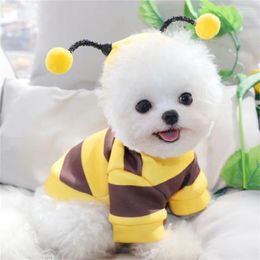 Dog Apparel Fashion Classic Design Autumn And Winter Cat Stripes Cute Little Bee Hoodie Two Feet Teddy Clothes Pet