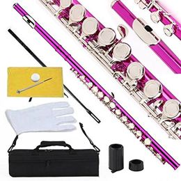 Wholesale Flute Pink Color Body Nickel Key 16 Closed Hole C Tune and E-Key Flute Instruments professional Free shipping