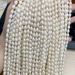 Wholesale Middle Quality 56mm Natural Freshwater Pearl Rice Shaped Loose Beads DIY Necklace Bracelet 5 Strandslot 240106