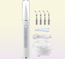 Ultrasonic Dental Electric Teeth Plaque Calculus Remover With HD Camera Oral Tooth Tartar Cleaner Stains Removal 2202286024154